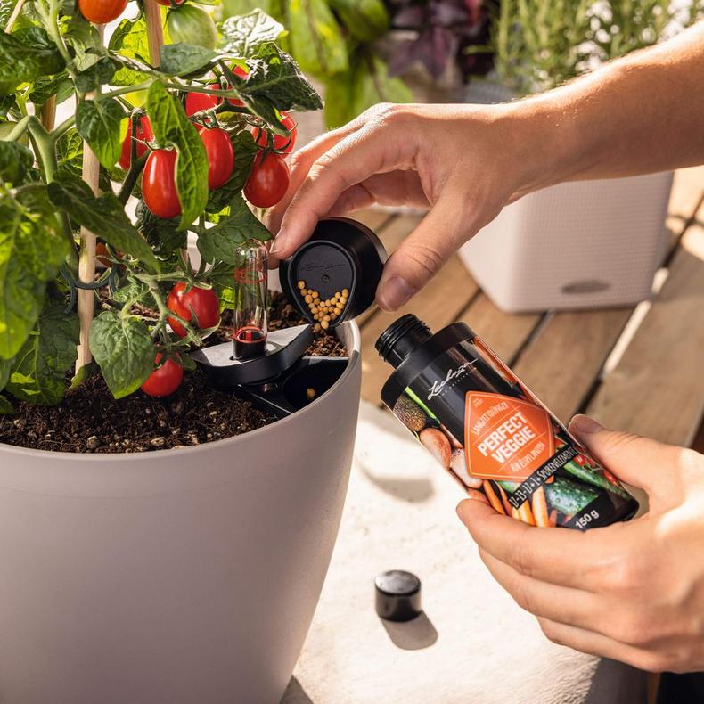 le_perfect-veggie_product_addi_02